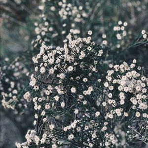 Meet your Posher, Mina